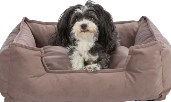 Trixie Talia koiranpeti, 80 x 65cm, ruskea