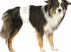 Trixie uroskoirien vaipat, L-XL, 12 kpl