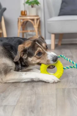 Trixie-koiranlelu, autonrengas narussa, 15 cm