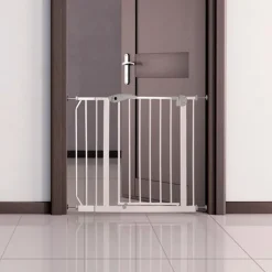 Trixie-koiraportin jatkopala