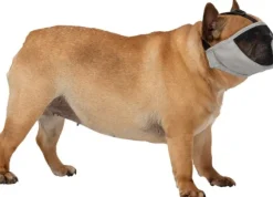 Trixie-kuonokoppa lyhytkuonoiselle koiralle, M