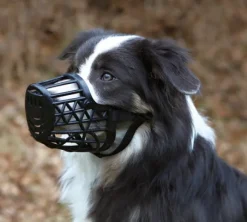 Trixie-kuonokoppa, M, 20 cm