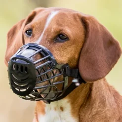 Trixie-kuonokoppa, XS