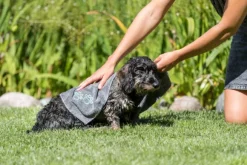 Trixie-mikrokuitupyyhe lemmikille, 50 x 60 cm