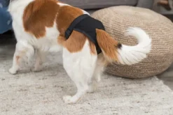 Trixie-narttusuoja, musta, XS