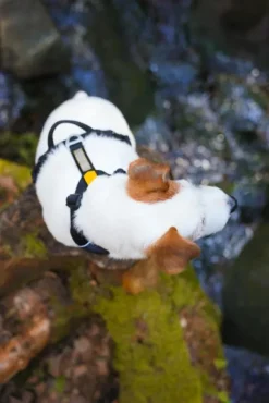 Woolly Wolf Roam Harness koirien valjaat, S, musta