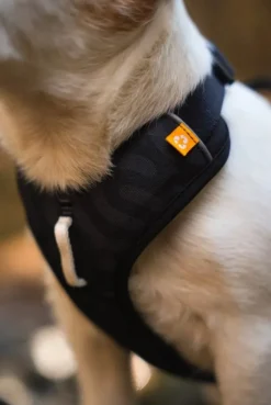 Woolly Wolf Roam Harness koirien valjaat, S, musta