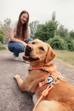 Woolly Wolf Rope Leash köysihihna, 10 mm, oranssi