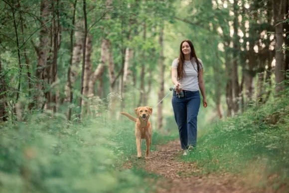 Woolly Wolf Rope Leash Thin köysihihna, 8 mm, musta